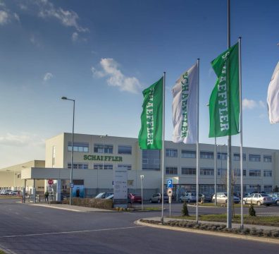 Schaefflerkalsa k